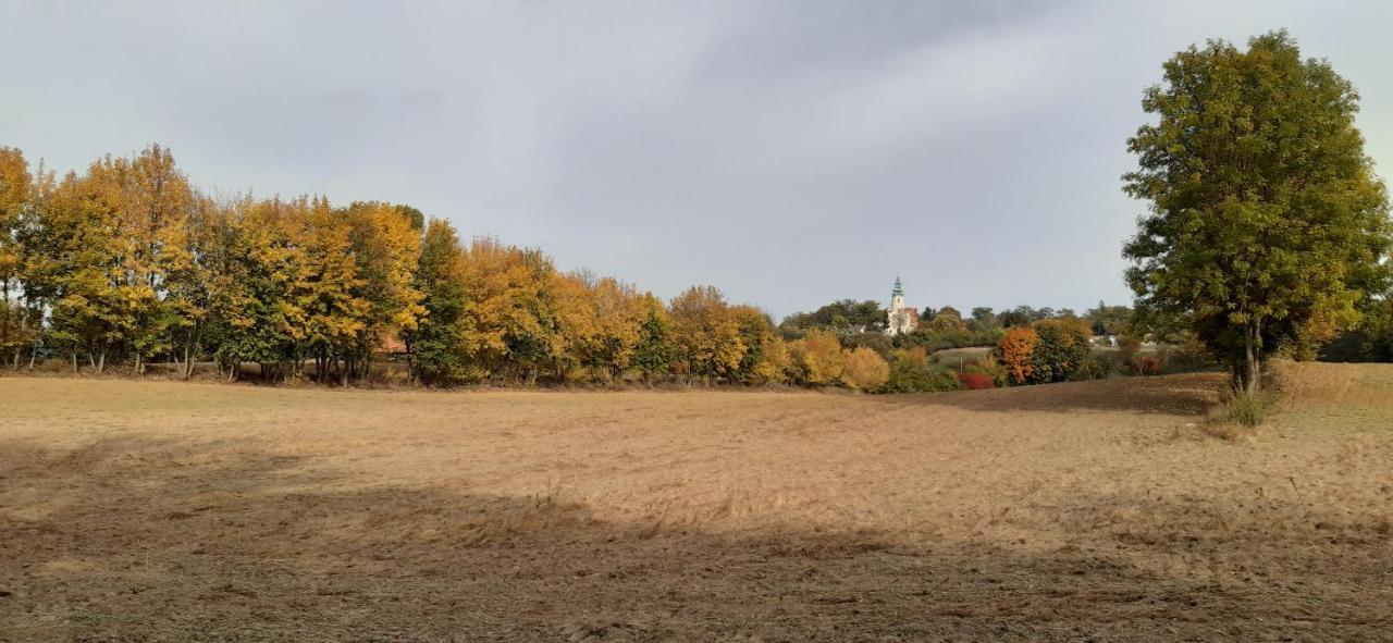 Villa Przystanek Bajka W Puszczy Zielonce Dabrowka Koscielna Exterior foto
